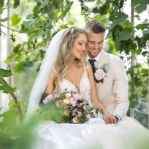 Photo Shoot Elinchrom THREE