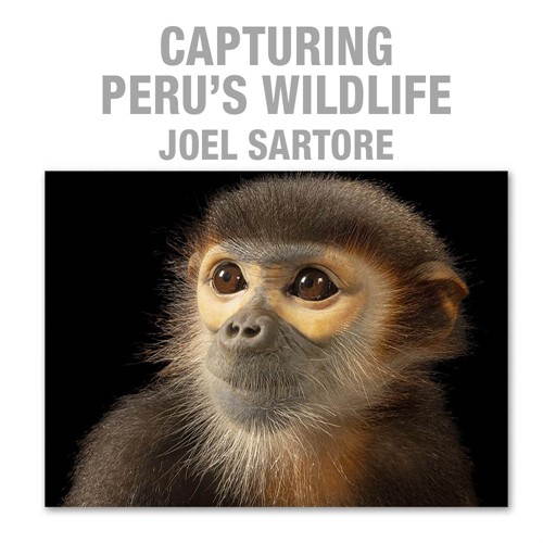 Joel Sartore - Peru’s Wildlife