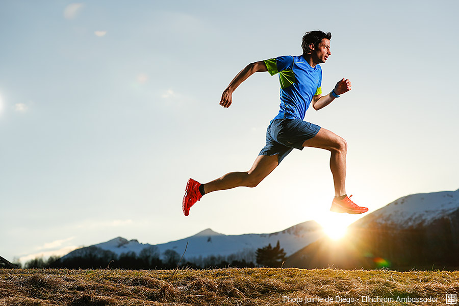 Anzeige:008 diego-008.jpg