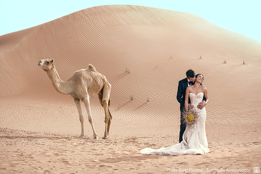 Anzeige:001 florens-001.jpg