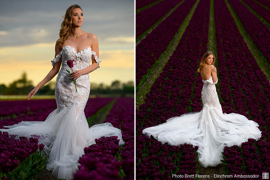 Anzeige:003 florens-003.jpg